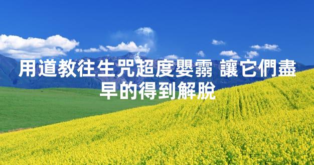 用道教往生咒超度嬰霛 讓它們盡早的得到解脫